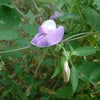 　あなたの○○○大丈夫ですか？の画像