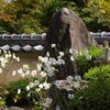 　『日本人の心』の画像