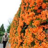 　役に立たない日本の歴史を・・・の画像