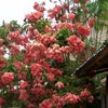 　危険！　その１の画像