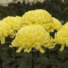 　呆れてものが言えない！の画像