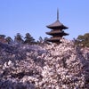 　知ってますか？　Ⅲの画像