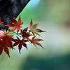 　何も知らない哀れな君へ！の画像