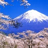　思い出してください、あの日々のことを！の画像