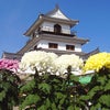 　あと２９日と９時間あまりの画像