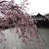 　世界の中の日本・消費税の画像