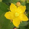 　続・続・台風ヨランダの画像