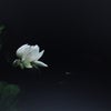 　冷静に考えて見ましょう。の画像