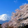 　本当のことを言える人は・・・の画像