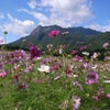 　そんなあ！の画像