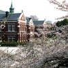 　毎度の事ですが！の画像