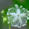 　ニューエネルギーに思う。の画像