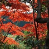 　人のふり見て我がふり直せ！の画像
