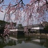 　もう許せん！の画像