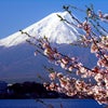 　忘れっぽい・・・の画像