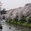 　朗報です（チョッと古いですが・・・）の画像