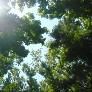 老いて孫に教えられの画像
