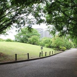 バラ庭園の散策の画像