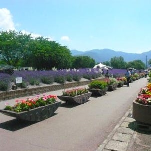 祝！世界遺産登録記念　河口湖一周ウォーキング　③の画像