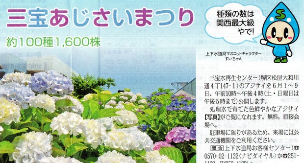 6月の花 アジサイ 甲斐犬と古墳の里 堺もず で暮らす 6月の花 アジサイ 甲斐犬と古墳の里 堺もず で暮らす