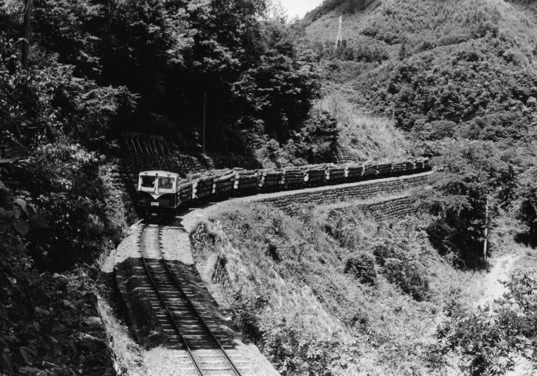 木曽森林鉄道（6） 1973（昭和48）年6月 | 鉄道写真 撮りつづけて65年
