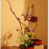 ひなまつりのお花の画像