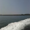 波戸岬の新波止でチヌ釣りの画像