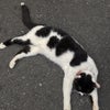 あのね・・・今日はスナックの日の画像