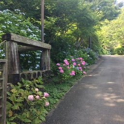 画像 コントラクトブリッジ教室から石窯ガーデンテラスと浄妙寺 の記事より 3つ目