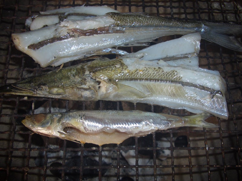 サヨリの一夜干し 釣れたサヨリを食卓へ Dokukinoko22のブログ