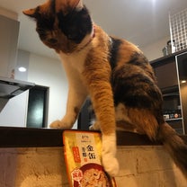 ブログ投稿画像