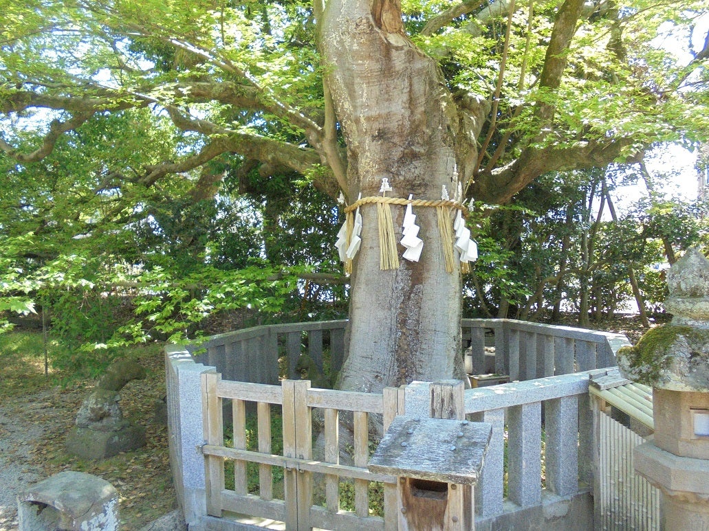 売布神社~祓の女神~ | ˚✧₊⁎˚日本めぐり˚⁎⁺✧˚ 売布神社~祓の女神~ | ˚✧₊⁎˚日本めぐり˚⁎⁺✧˚