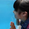 京都水族館へおでかけの画像
