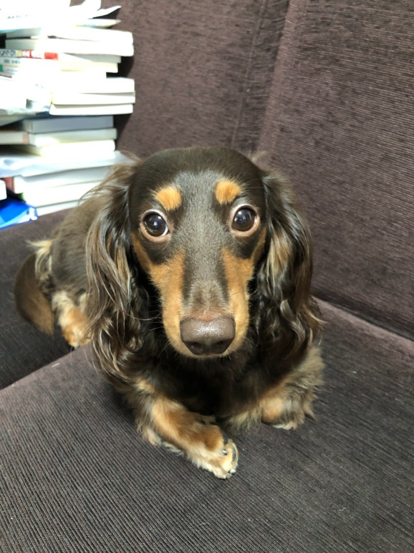 今日は自分の通院日の記事画像