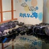 発見〜 やましなの海の画像