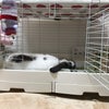 夜にそなえての画像