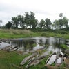DAY 9/10 OKAVANGO DELTA(Botswana)の画像