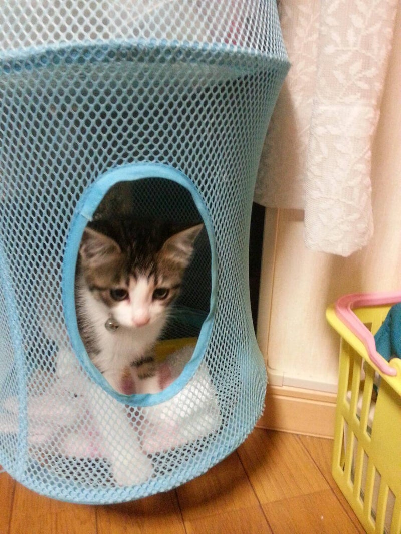イメージ 3