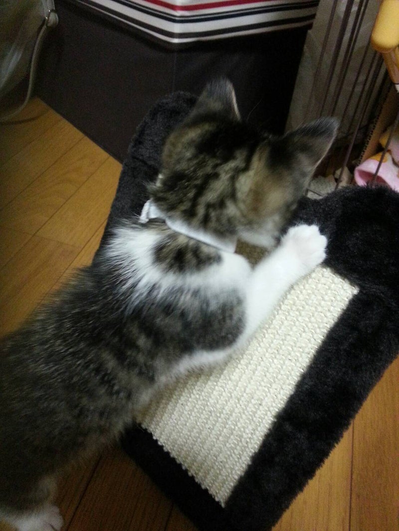 イメージ 2