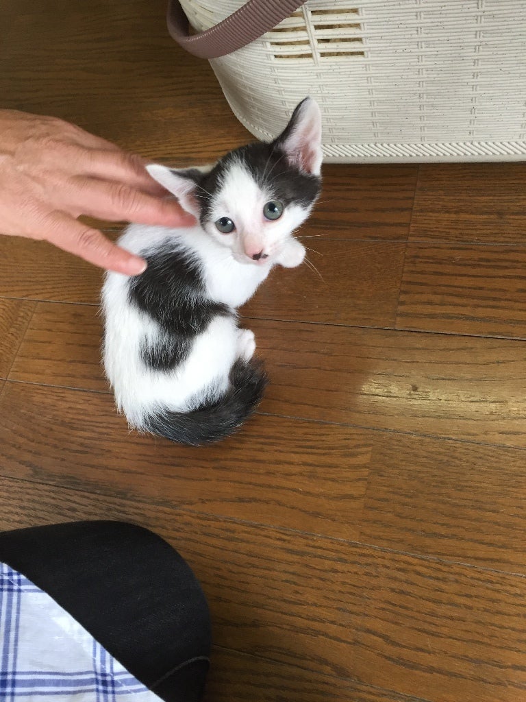 イメージ 3
