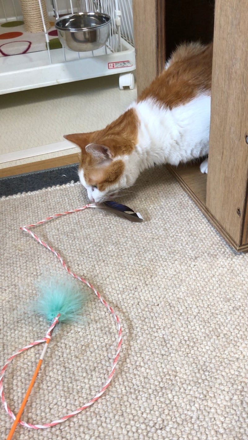 イメージ 8