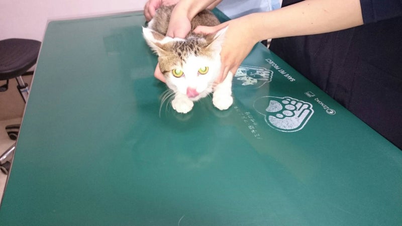 イメージ 3