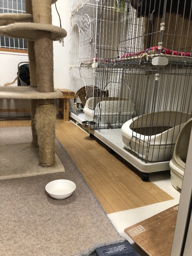 イメージ 3
