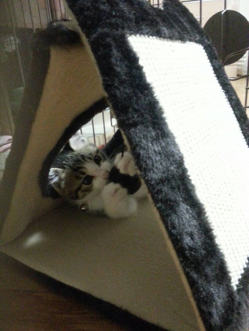 イメージ 1