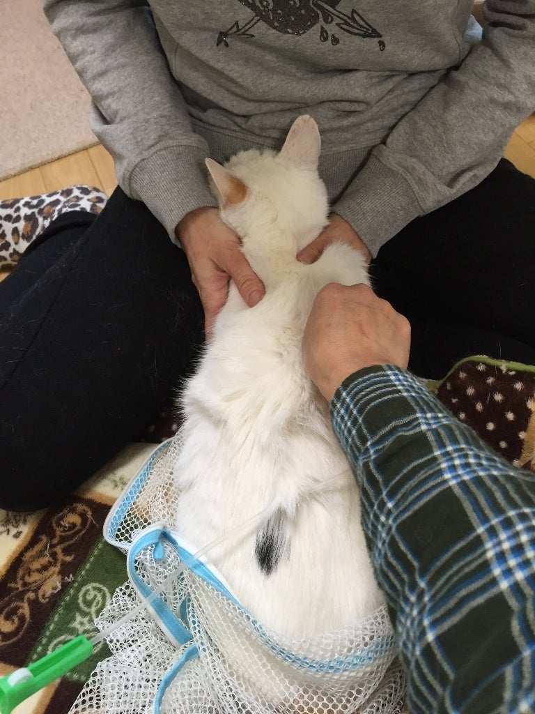 イメージ 1
