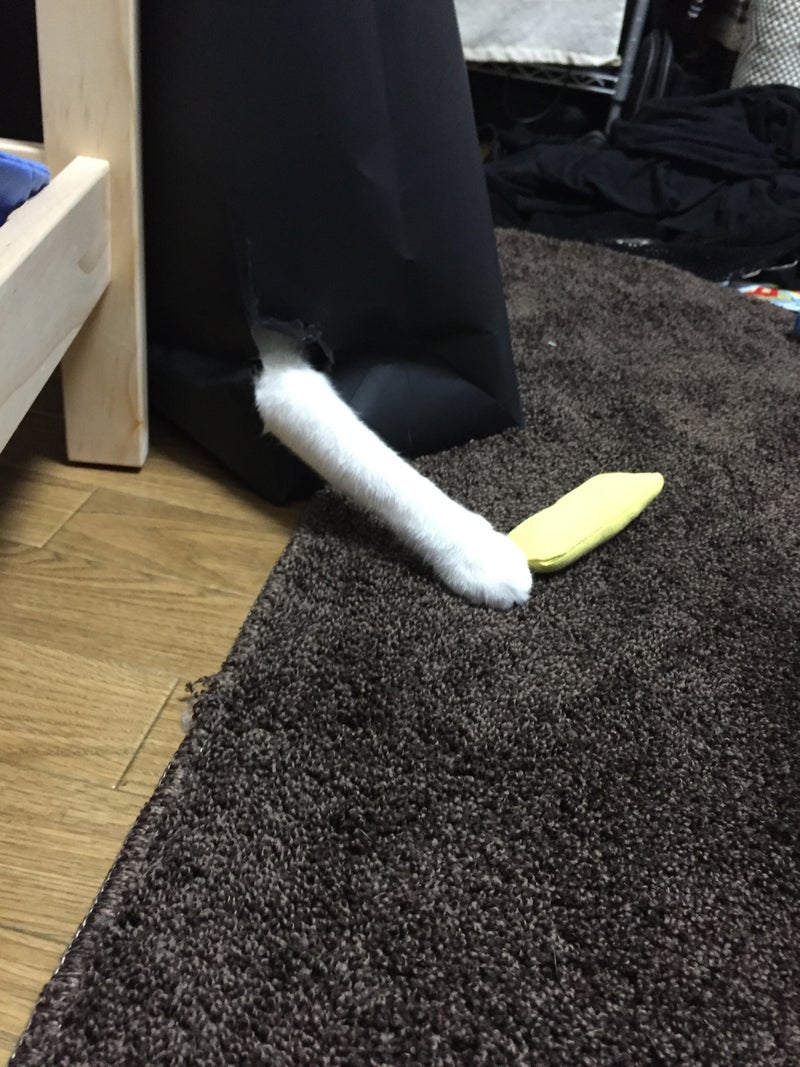 イメージ 6