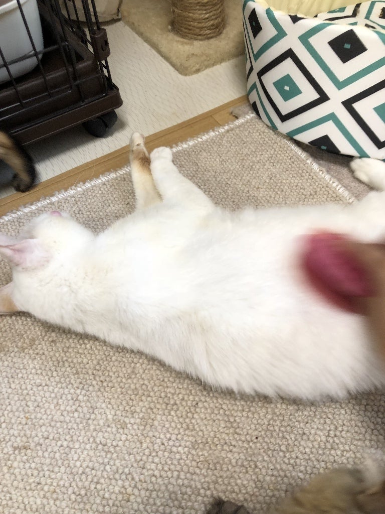 イメージ 2