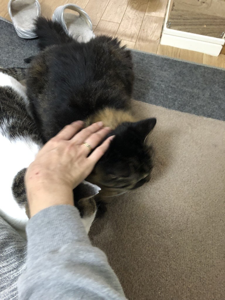 イメージ 1