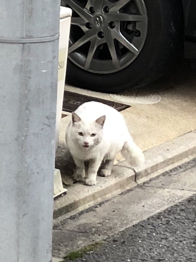 イメージ 1
