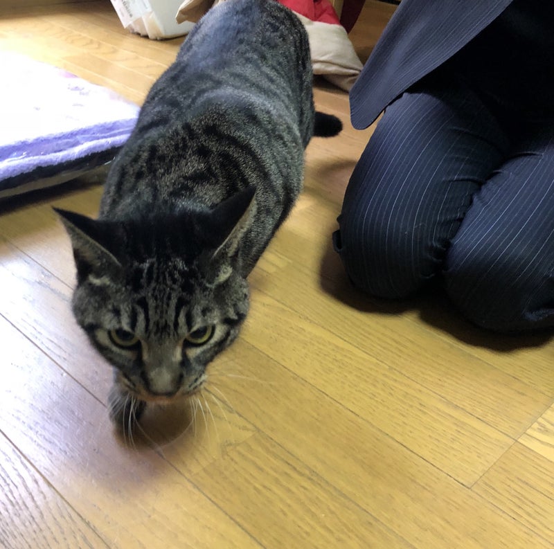 イメージ 3